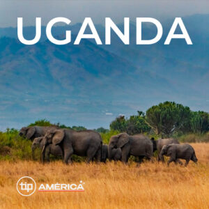 UGANDA